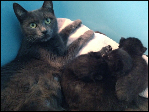 April and her babies.jpg